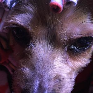 Meet your Posher, Becky